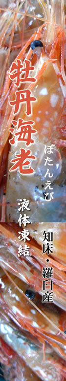 �ڂ��񂦂�