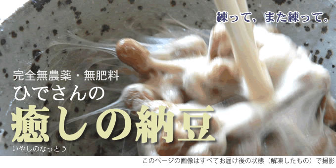 自然農法の納豆