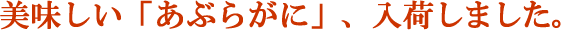 �A�u���K�j�i�^���o�K�j�ȁj