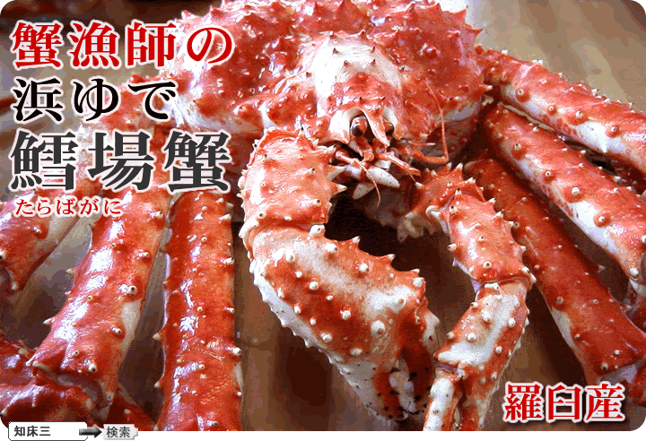 �I���t�̃^���o�K�j