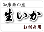 ���������h�g�p
