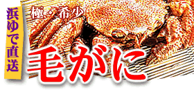 �l��Ŗт���