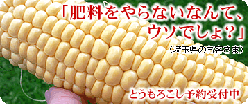 �Ƃ����낱�����R�_�@