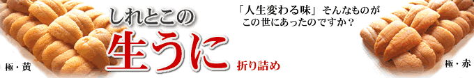 �����ɁE�k�C���m���Y