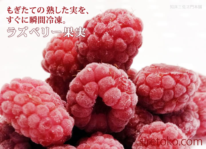 ラズベリー果実　もぎたての熟した実を、すぐに瞬間冷凍。