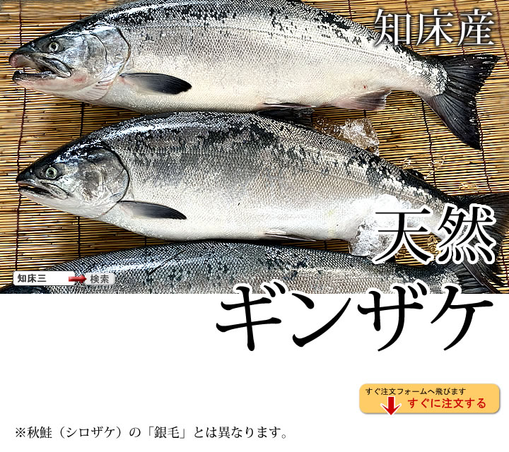 生鮭（北海道知床羅臼産）