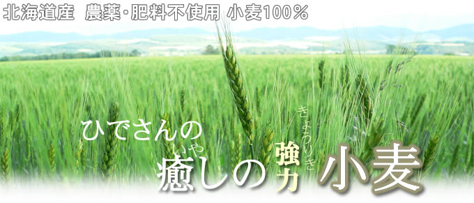 国産小麦粉自然農法