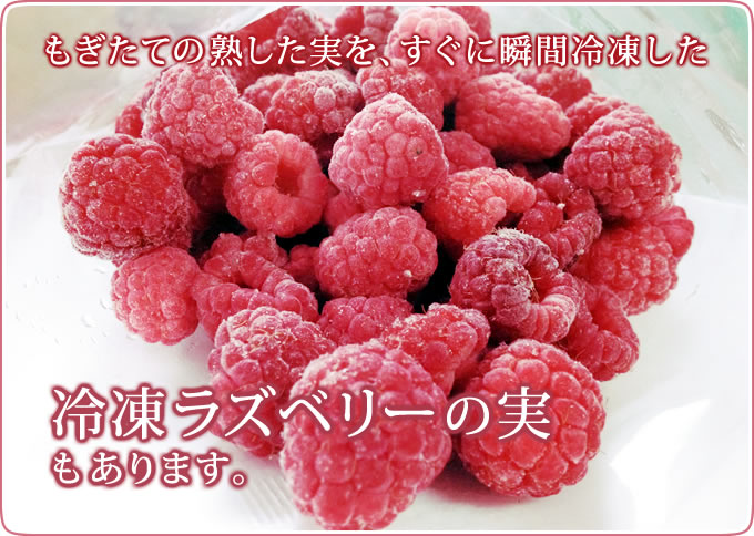もぎたての熟した実を、すぐに瞬間冷凍した冷凍ラズベリーの実もあります。