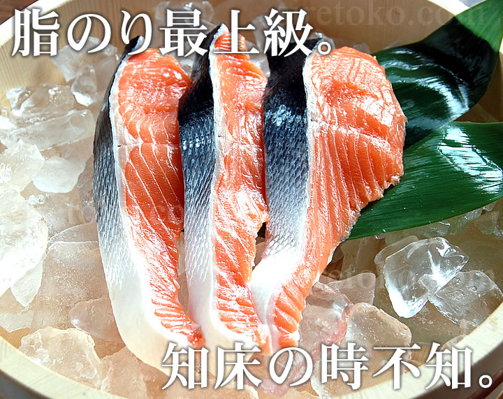トキシラズひと汐鮭（知床産）